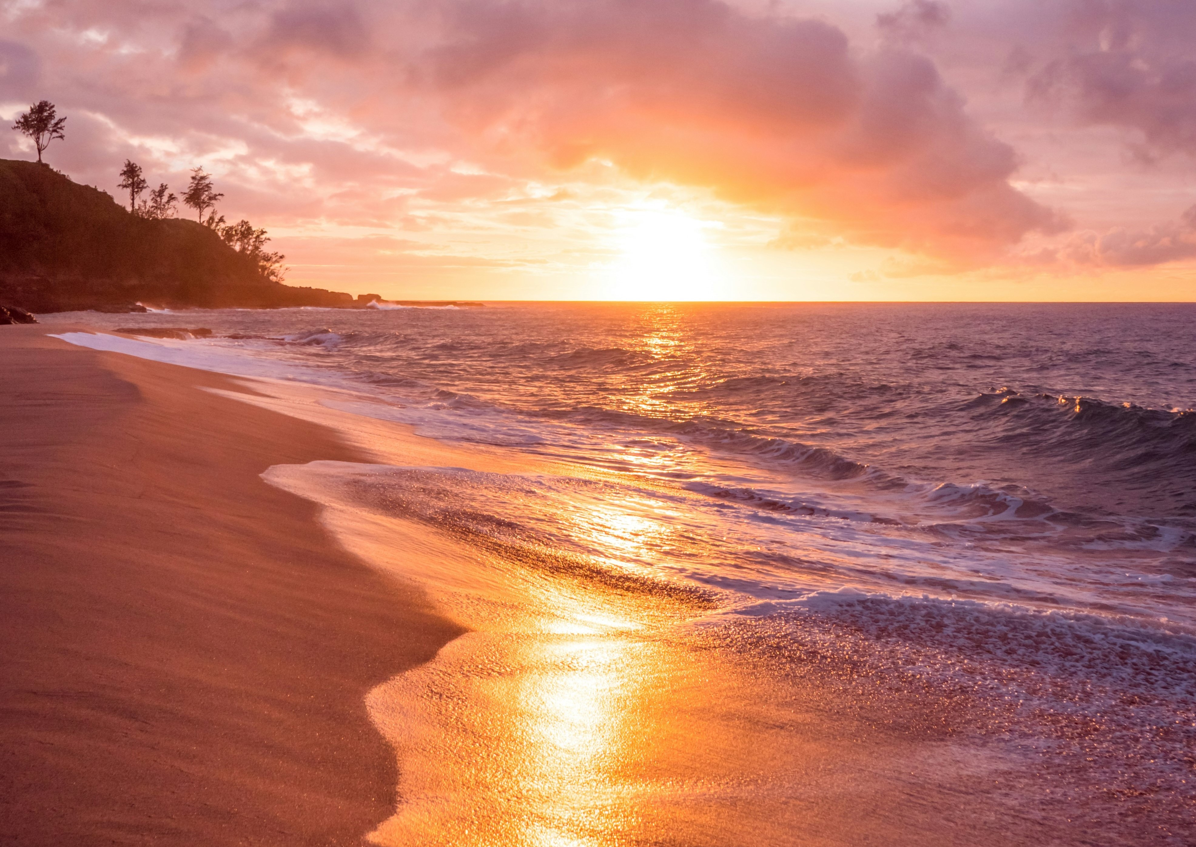 hand and flower in water