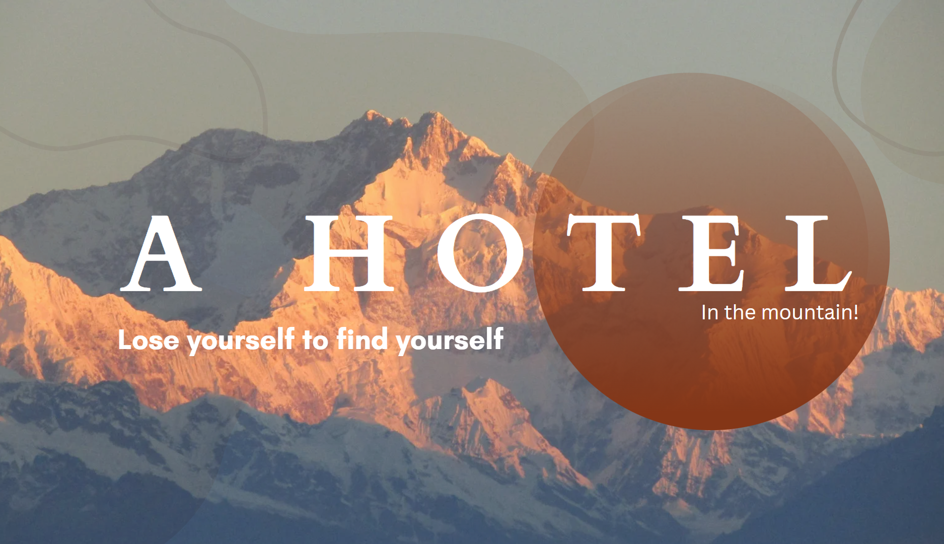 Tesla site screenshot