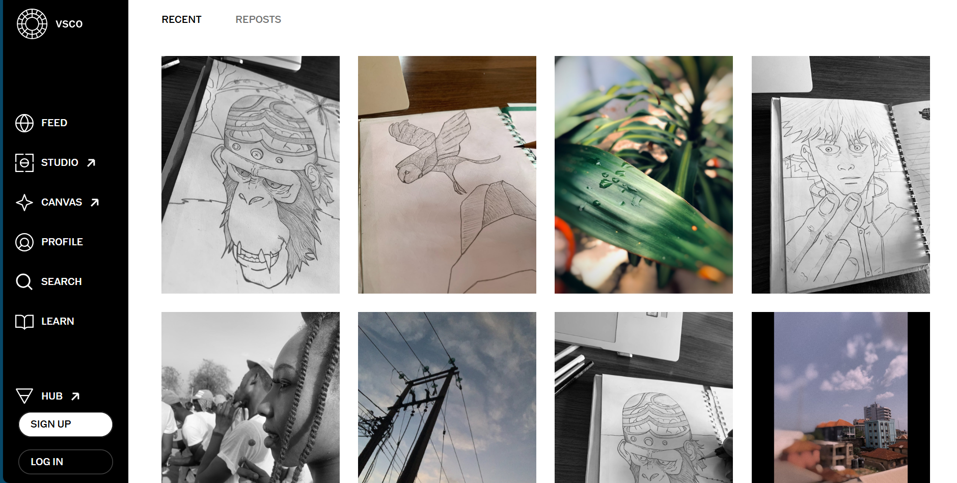 Vsco site screenshot